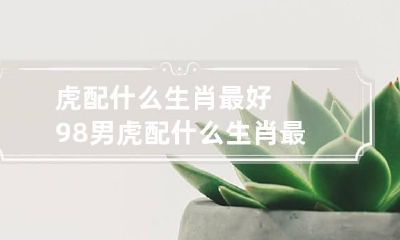 虎配什么生肖最好 98男虎配什么生肖最好