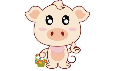 属猪的人2011年运程