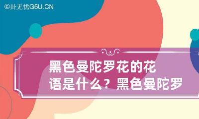 黑色曼陀罗花的花语是什么？黑色曼陀罗花的传说是什么？
