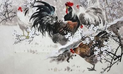 属鸡的命苦是否可信