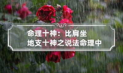 命理十神：比肩坐地支十神之说法 命理中十神的解释