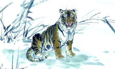 属虎2018年运势运程