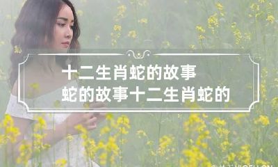 十二生肖蛇的故事 蛇的故事十二生肖蛇的故事