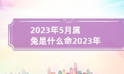 2023年5月属兔是什么命 2023年的兔子五行属什么
