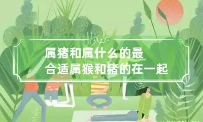 属猪和属什么的最合适 属猴和猪的在一起合不合