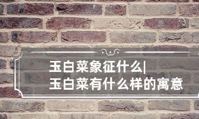玉白菜象征什么|玉白菜有什么样的寓意