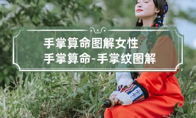 手掌算命图解女性 手掌算命-手掌纹图解女