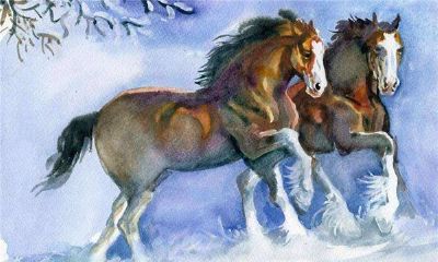 属马2018年运势运程