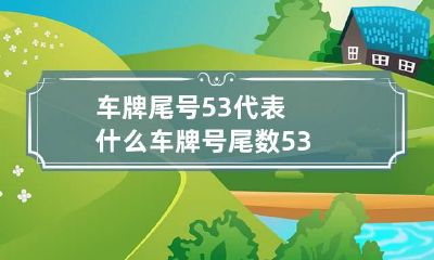 车牌尾号53代表什么 车牌号尾数53