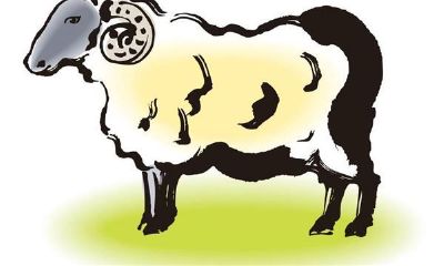 属羊2018年运势运程