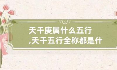 天干庚属什么五行,天干五行全称都是什么