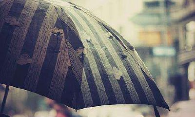 男狗女鸡结婚会离婚吗？属鸡女的婚姻观？