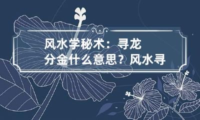 风水学秘术：寻龙分金什么意思？ 风水寻龙法