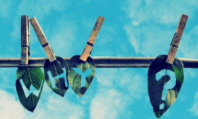 女属狗男属鸡婚姻状况如何？属鸡男婚后会有哪些改变？