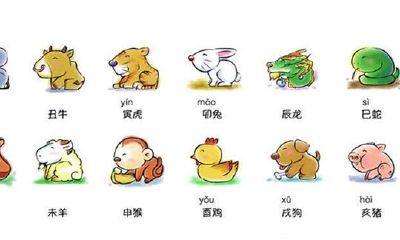 麦玲玲2018年生肖运程（完整版）