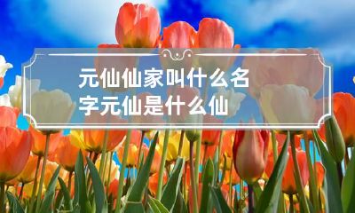 元仙仙家叫什么名字 元仙是什么仙