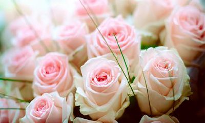 属龙的命运一生怎么样 有很好的偏财运