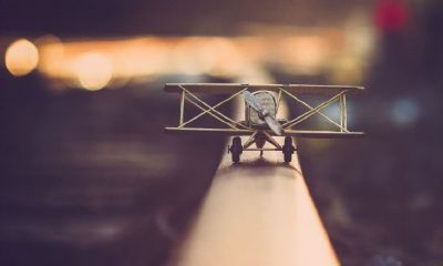 女狗男猴的婚姻怎么样？属猴男喜欢什么样的女性？