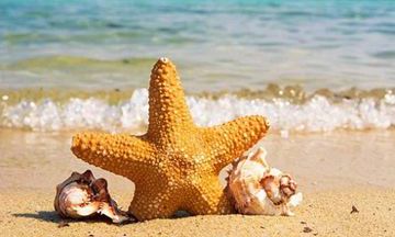 96女鼠和98男虎合不合 是上等婚吗