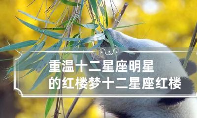 重温十二星座明星的红楼梦 十二星座红楼梦人物