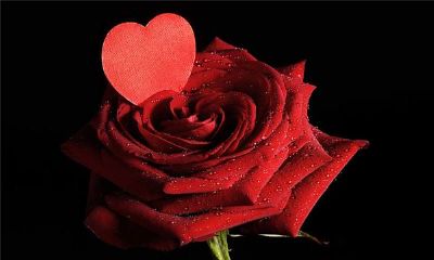 属相相克是真的吗