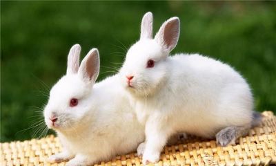 1987年的人2025年运势