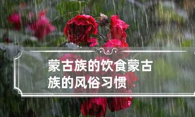 蒙古族的饮食 蒙古族的风俗习惯