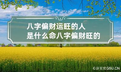 八字偏财运旺的人是什么命 八字偏财旺的人命运如何