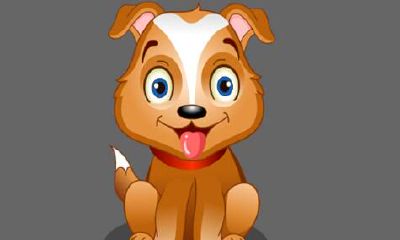 宋韶光2019年属狗运势完整版