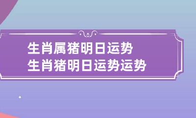 生肖属猪明日运势 生肖猪明日运势运势
