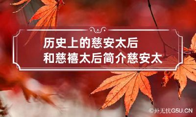 历史上的慈安太后和慈禧太后简介 慈安太后与慈禧太后关系