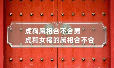 虎狗属相合不合 男虎和女猪的属相合不合