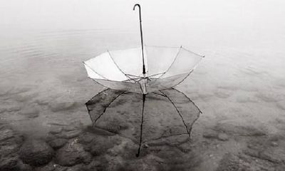 男属狗女属羊能长久吗？属羊女婚后会有什么改变？