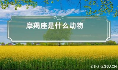 摩羯座是什么动物