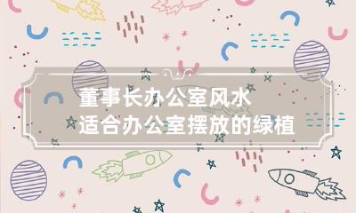 董事长办公室风水 适合办公室摆放的绿植