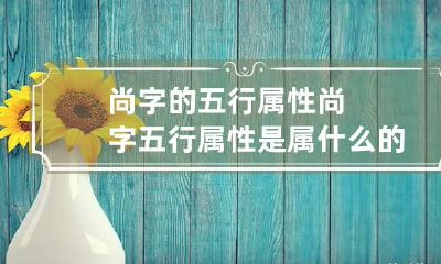 尚字的五行属性 尚字五行属性是属什么的