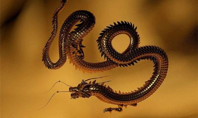 龙年犯太岁怎么办？