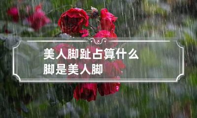 美人脚趾占算 什么脚是美人脚