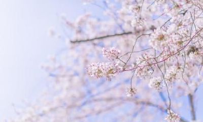 2020年十月二十三大雪节气是吉日吗？大雪这天装修动土好吗？