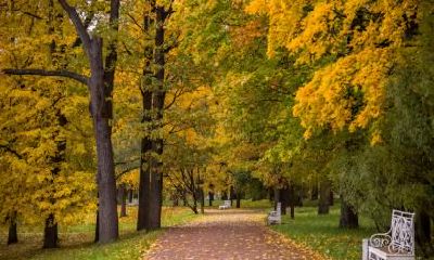 霜降与白露哪一个先到？霜降是冬天还是秋天？