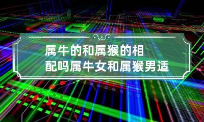属牛的和属猴的相配吗 属牛女和属猴男适合做夫妻吗