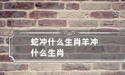 蛇冲什么生肖 羊冲什么生肖