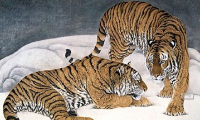 属虎的人终身运程_生肖虎的命运如何？