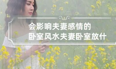 会影响夫妻感情的卧室风水 夫妻卧室放什么感情好