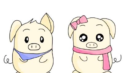 属猪的人终身运程_生肖猪的命运如何？