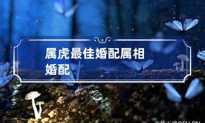 属虎最佳婚配 属相婚配