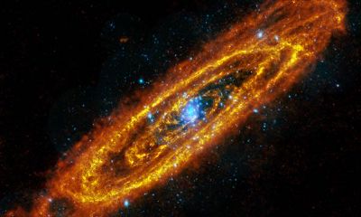 凯利2019年星座运程水瓶座