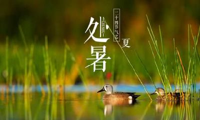 2020年处暑前一天出殡好不好？出殡日子有什么讲究？