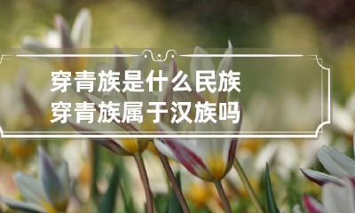 穿青族是什么民族 穿青族属于汉族吗