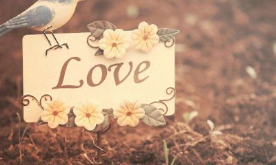 女狗男兔婚配怎么样？属兔男会因为什么而找不到对象？